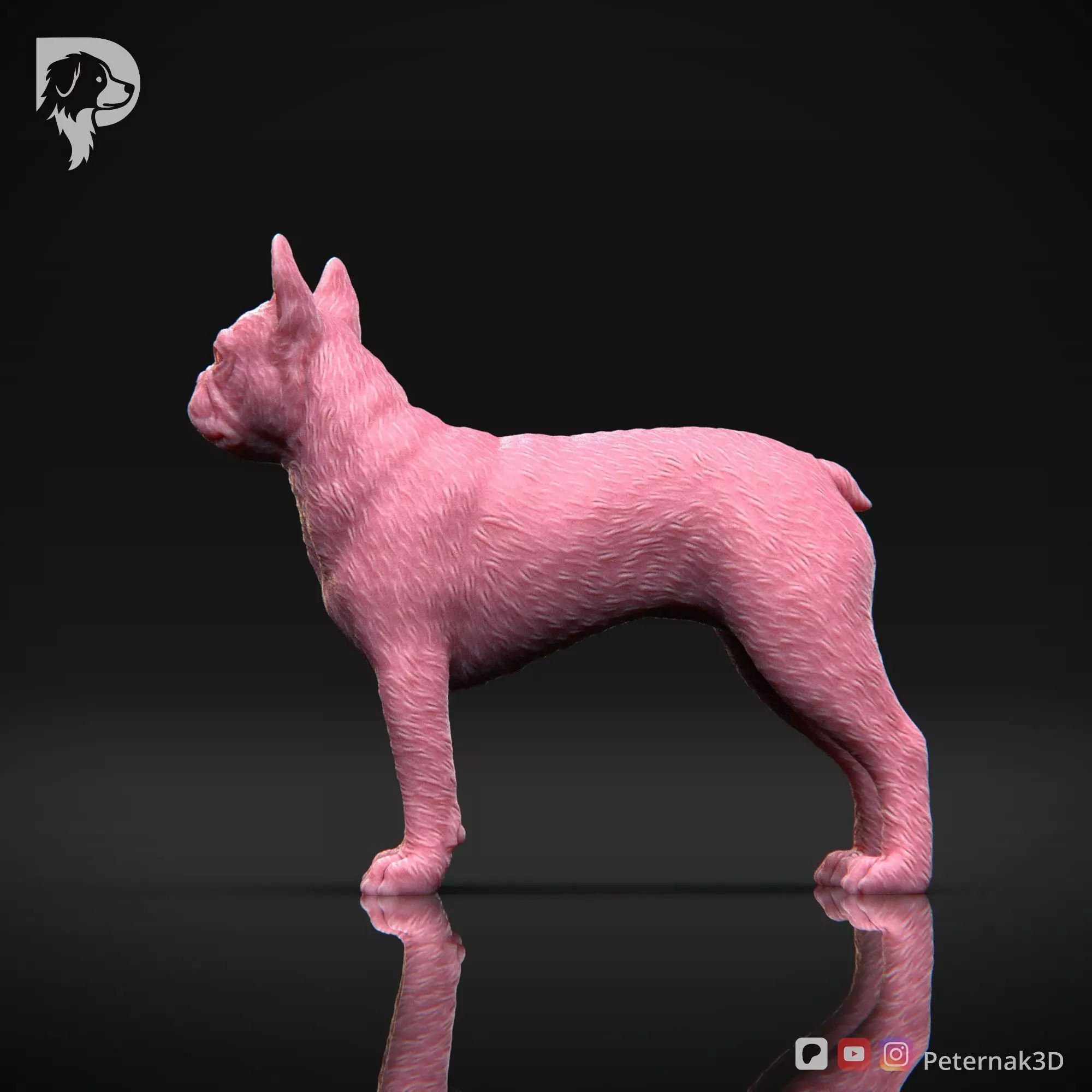 Dog 3D Print Model Boston Terrier Dog Pose 03 Ready STL 3D print model_9