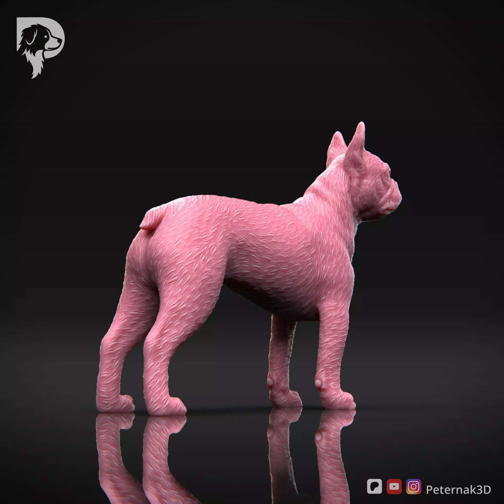 Dog 3D Print Model Boston Terrier Dog Pose 03 Ready STL 3D print model_5