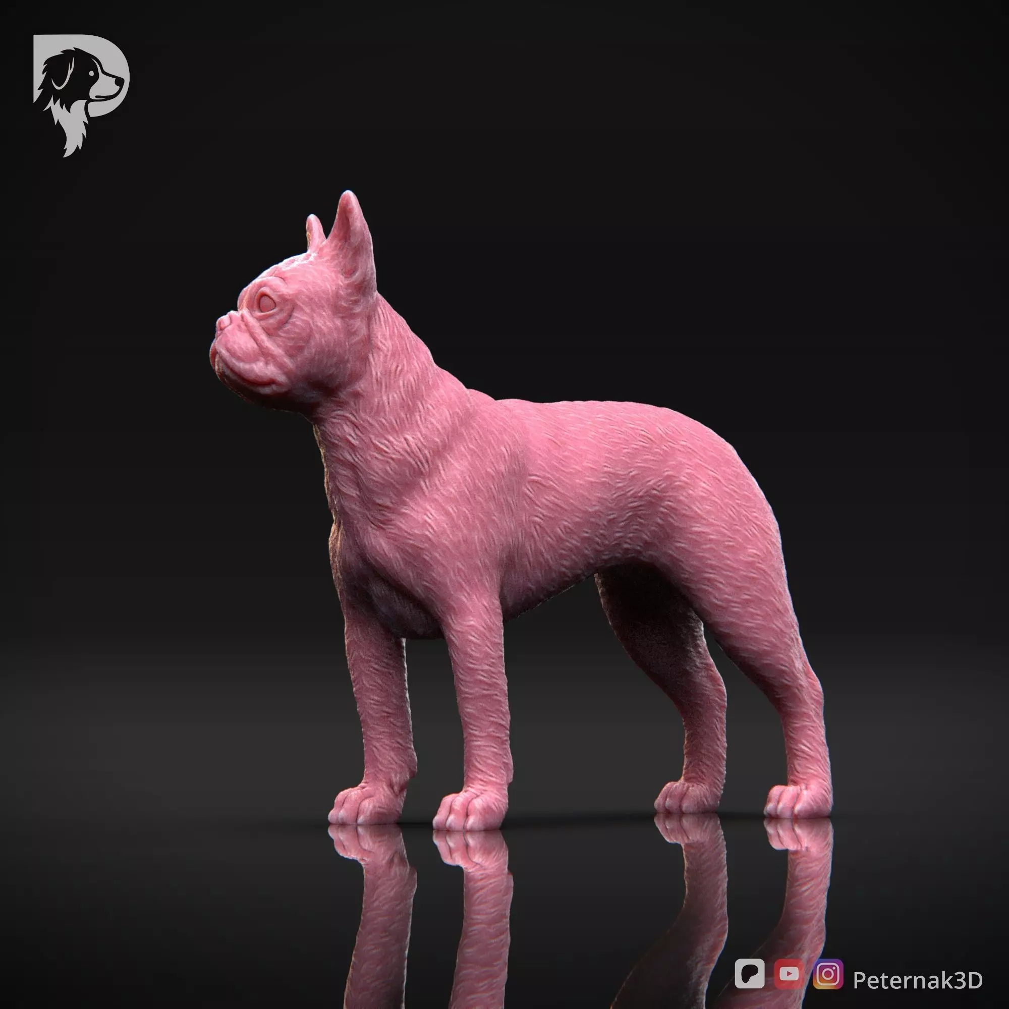 Dog 3D Print Model Boston Terrier Dog Pose 03 Ready STL 3D print model_10