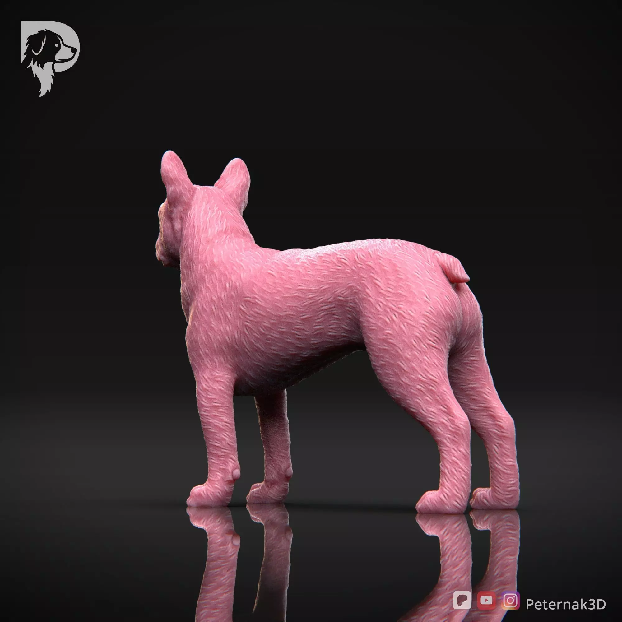 Dog 3D Print Model Boston Terrier Dog Pose 03 Ready STL 3D print model_8