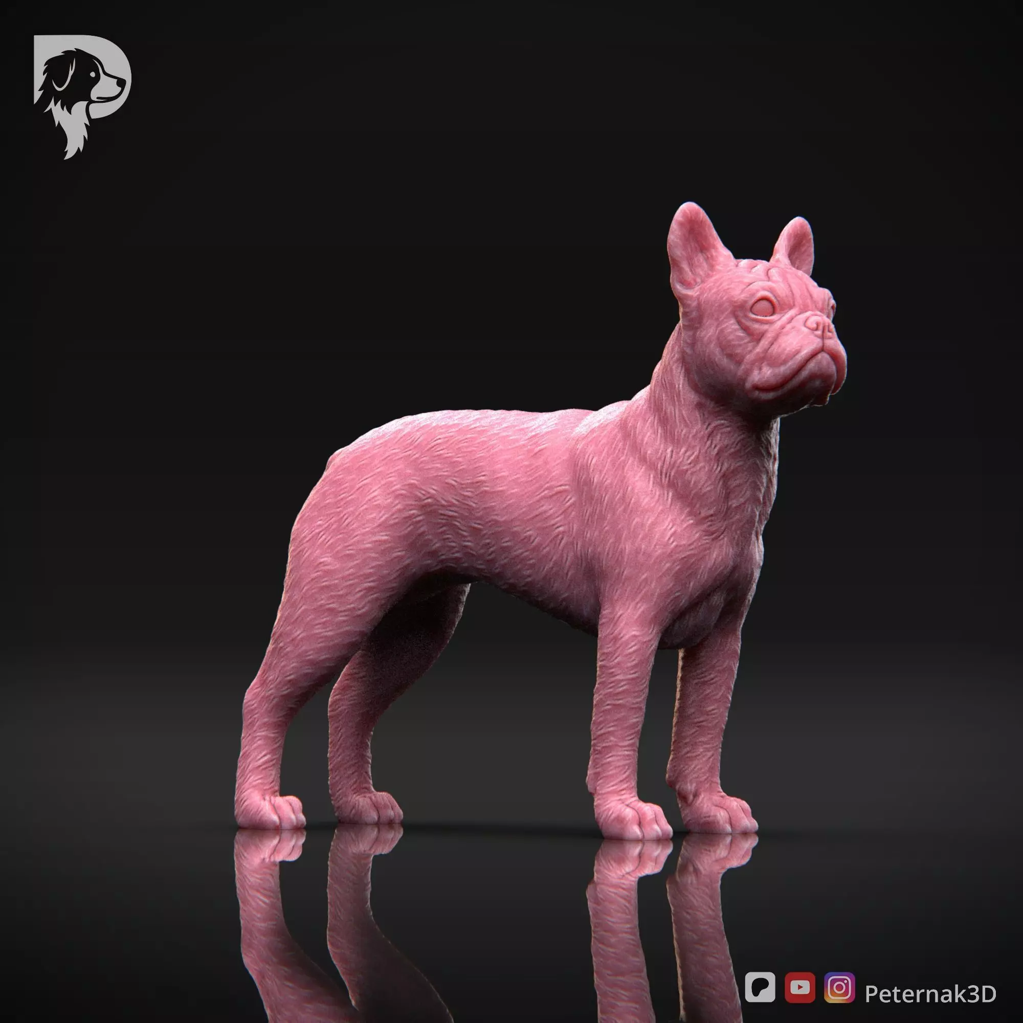 Dog 3D Print Model Boston Terrier Dog Pose 03 Ready STL 3D print model_3