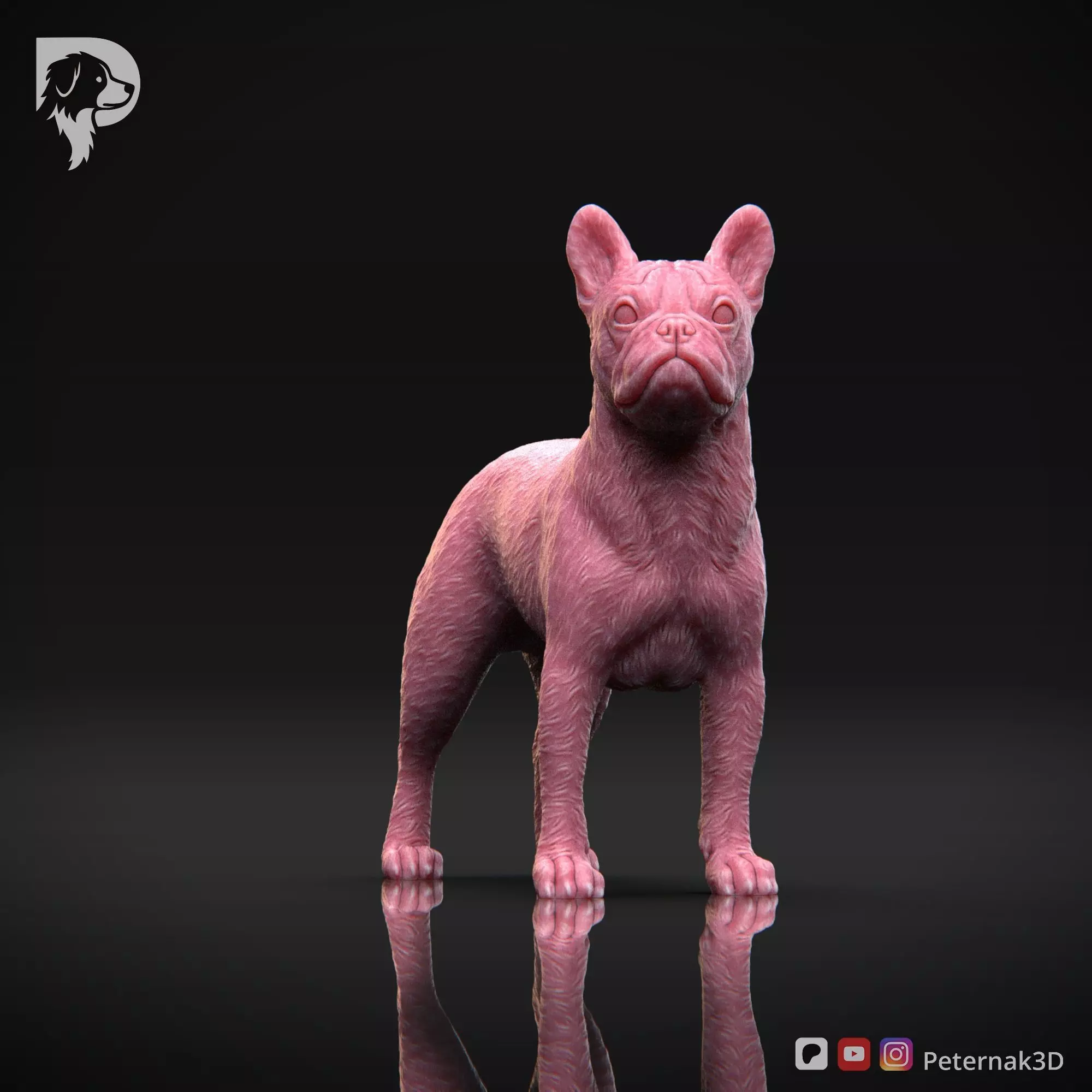 Dog 3D Print Model Boston Terrier Dog Pose 03 Ready STL 3D print model_2