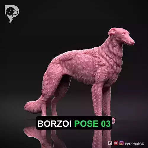 Dog 3D Print Model Borzoi Dog Pose 03 Ready STL