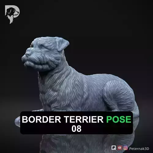 Dog 3D Print Model Border Terrier Dog Pose 08 Ready STL