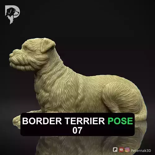 Dog 3D Print Model Border Terrier Dog Pose 07 Ready STL