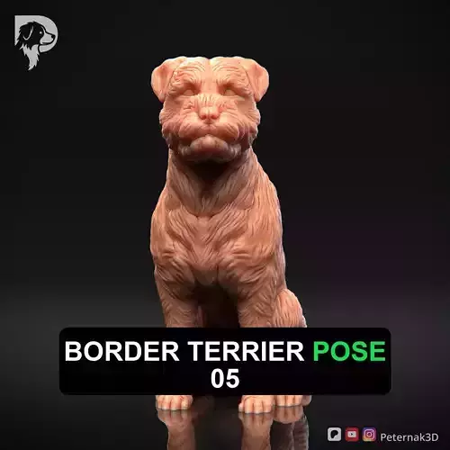 Dog 3D Print Model Border Terrier Dog Pose 05 Ready STL