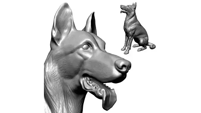 German Shepherd Dog - Low and High poly Model 3D model