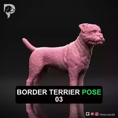 Dog 3D Print Model Border Terrier Dog Pose 03 Ready STL