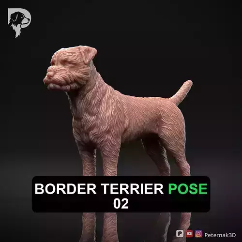 Dog 3D Print Model Border Terrier Dog Pose 02 Ready STL