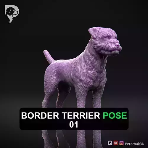 Dog 3D Print Model Border Terrier Dog Pose 01 Ready STL