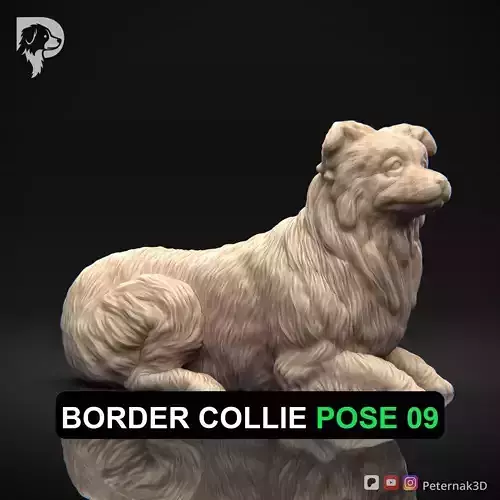 Dog 3D Print Model Border Collie Dog Pose 09 Ready STL