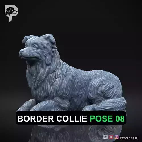 Dog 3D Print Model Border Collie Dog Pose 08 Ready STL