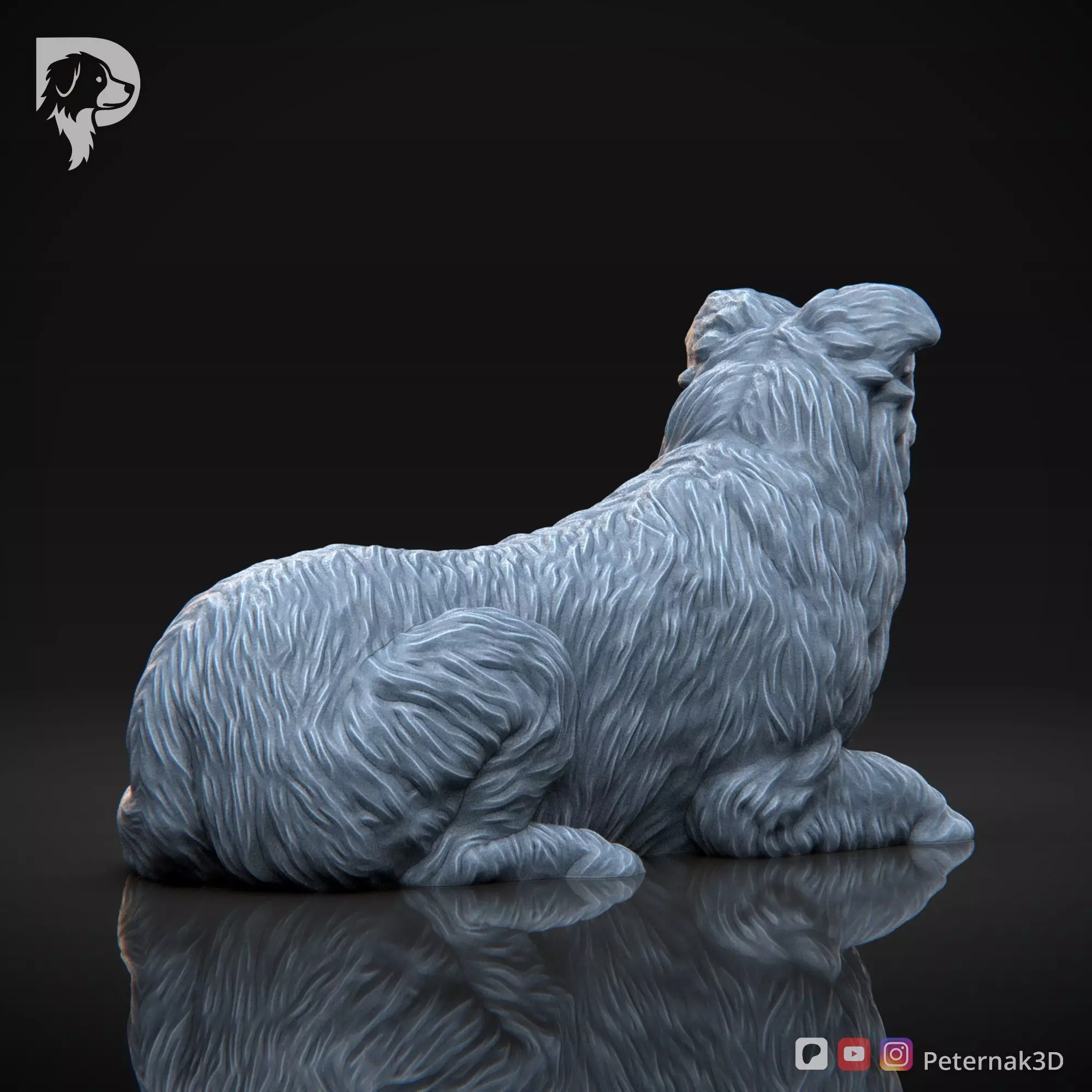 Dog 3D Print Model Border Collie Dog Pose 08 Ready STL 3D print model_6