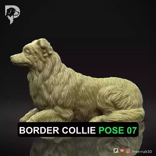 Dog 3D Print Model Border Collie Dog Pose 07 Ready STL