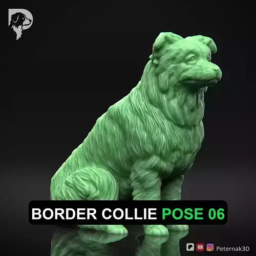 Dog 3D Print Model Border Collie Dog Pose 06 Ready STL