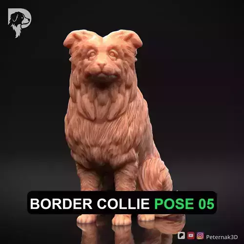 Dog 3D Print Model Border Collie Dog Pose 05 Ready STL
