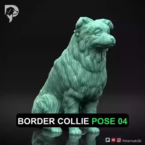 Dog 3D Print Model Border Collie Dog Pose 04 Ready STL