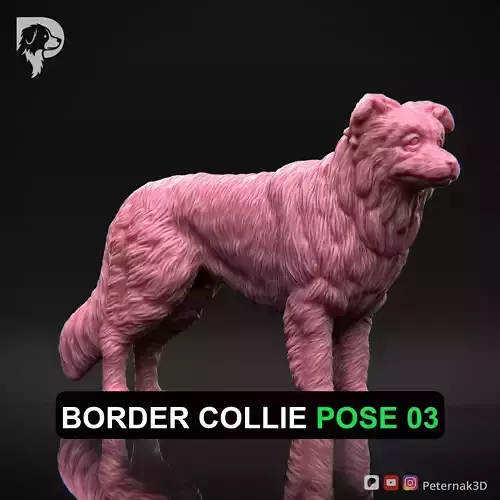 Dog 3D Print Model Border Collie Dog Pose 03 Ready STL