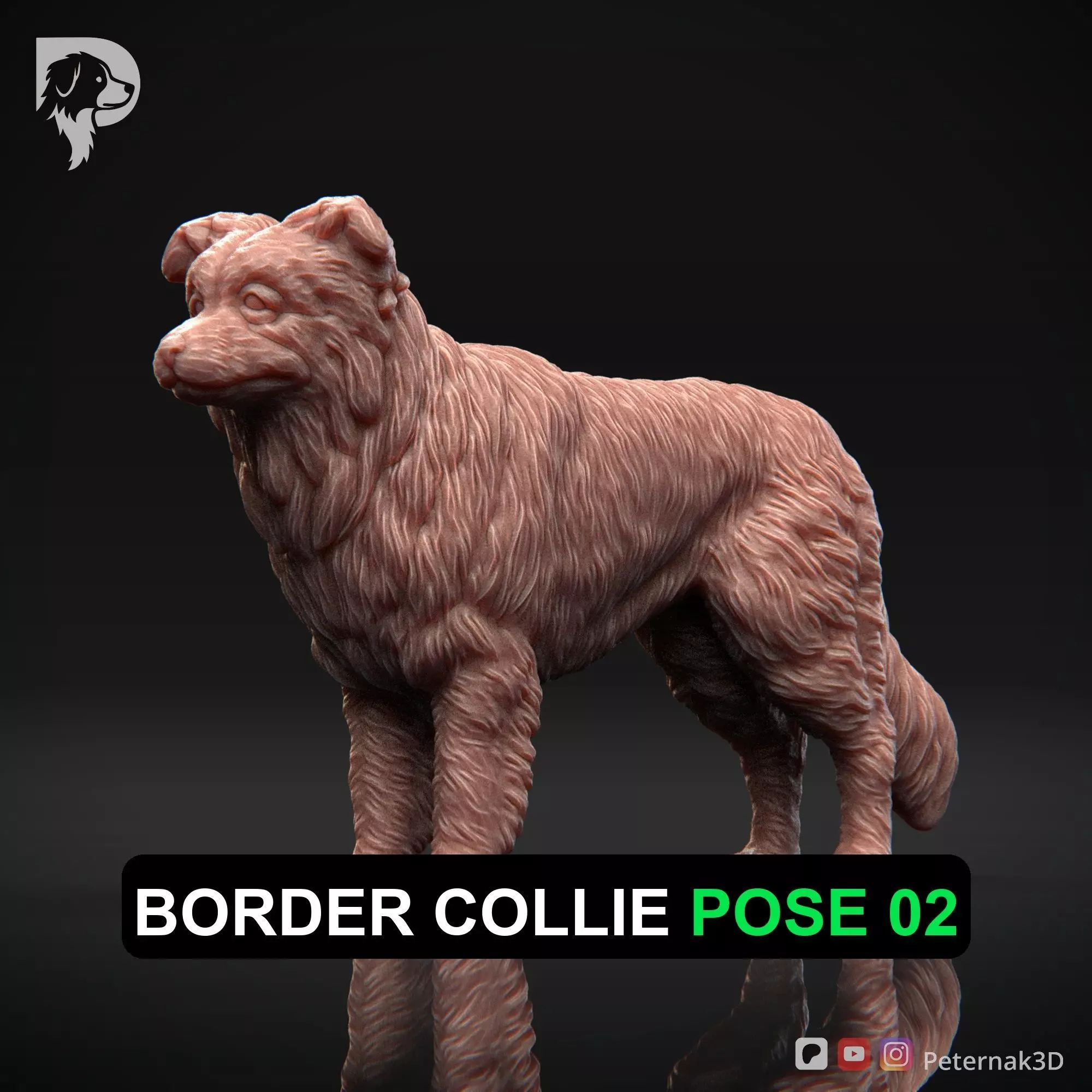 Dog 3D Print Model Border Collie Dog Pose 02 Ready STL 3D print model