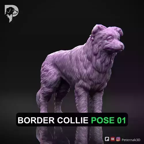 Dog 3D Print Model Border Collie Dog Pose 01 Ready STL