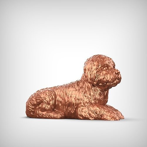 Bolognese Dog 3D Print Model Pose 09 3D print model