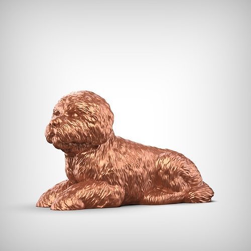 Bolognese Dog 3D Print Model Pose 08 3D print model