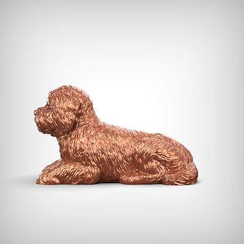 Bolognese Dog 3D Print Model Pose 07 3D print model