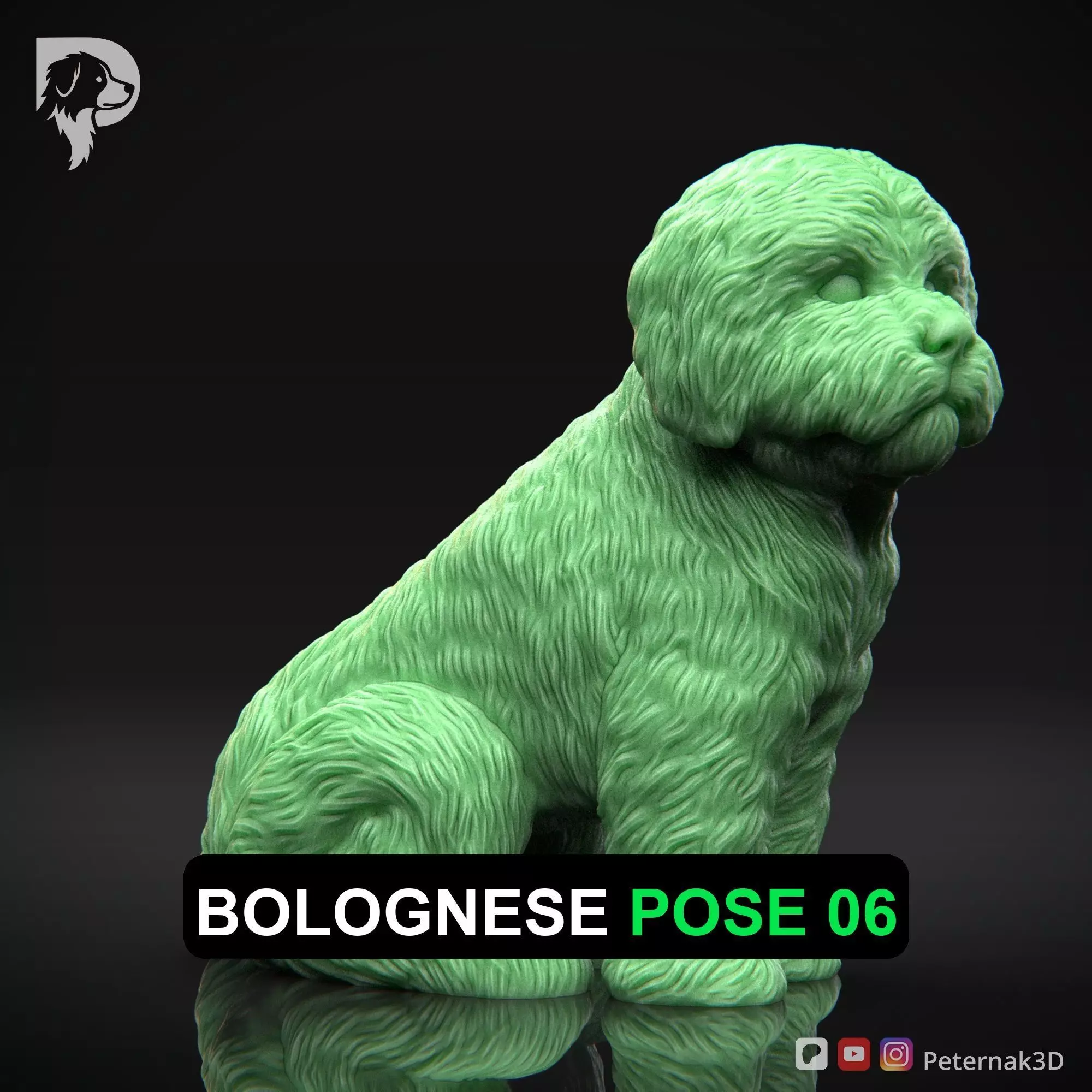 Dog 3D Print Model Bolognese Dog Pose 06 Ready STL 3D print model
