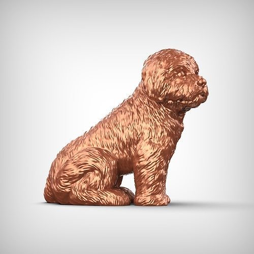Bolognese Dog 3D Print Model Pose 06 3D print model
