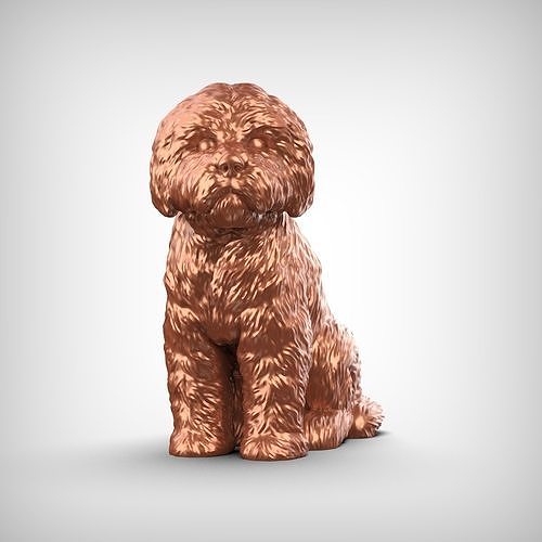 Bolognese Dog 3D Print Model Pose 05 3D print model