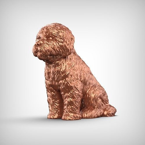 Bolognese Dog 3D Print Model Pose 04 3D print model