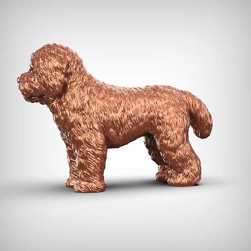 Bolognese Dog 3D Print Model Pose 03 3D print model