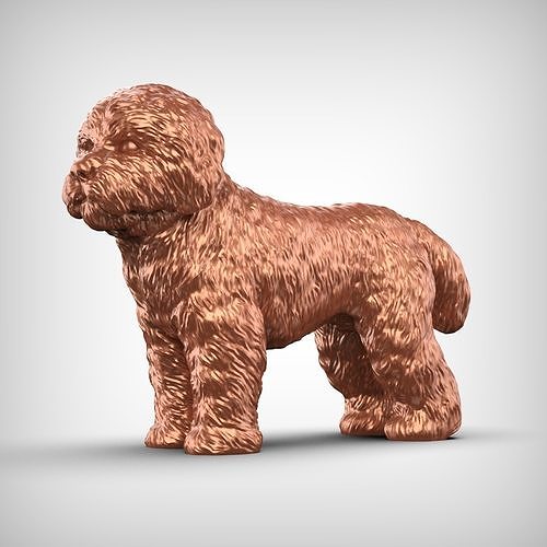 Bolognese Dog 3D Print Model Pose 02 3D print model