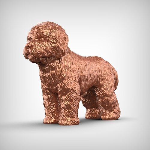 Bolognese Dog 3D Print Model Pose 01 3D print model
