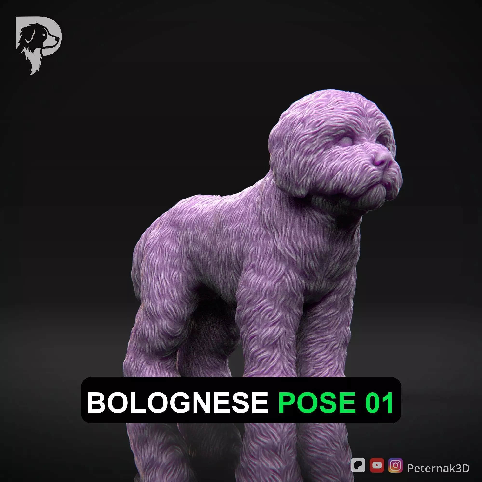 Dog 3D Print Model Bolognese Dog Pose 01 Ready STL 3D print model