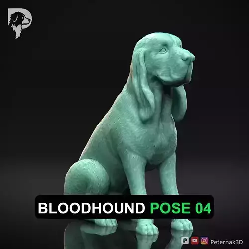 Dog 3D Print Model Bloodhound Dog Pose 04 Ready STL