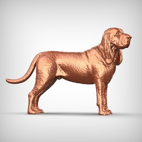 Bloodhound Dog 3D Print Model Pose 03 3D print model