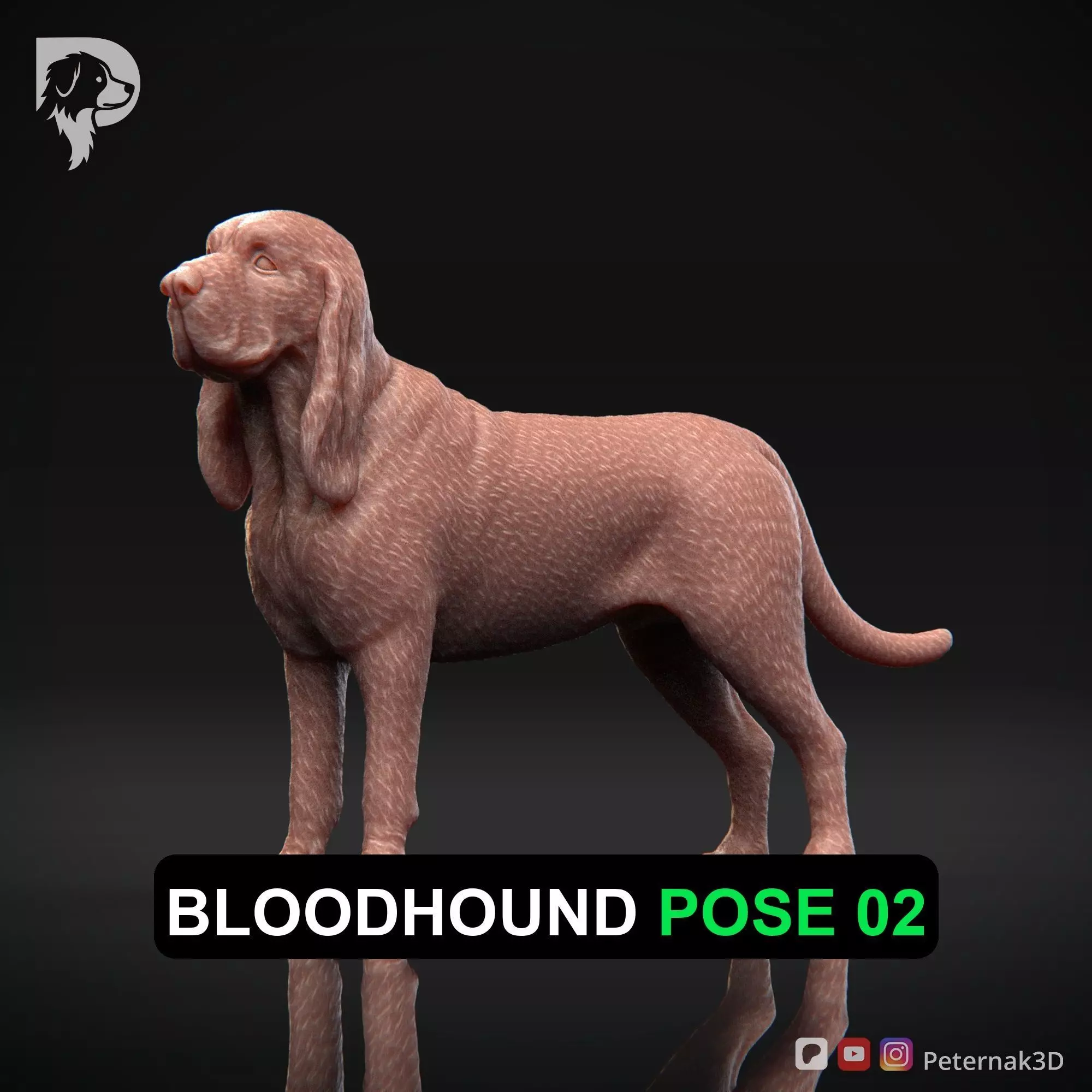 Dog 3D Print Model Bloodhound Dog Pose 02 Ready STL 3D print model