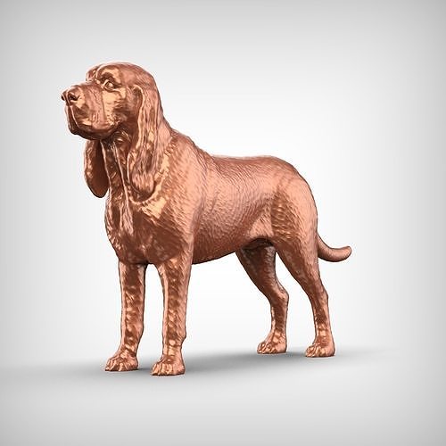 Bloodhound Dog 3D Print Model Pose 01 3D print model
