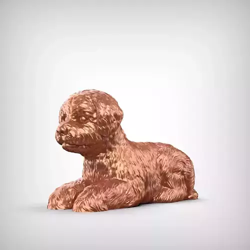 Bichon Frise Dog 3D Print Model Pose 07 3D print model