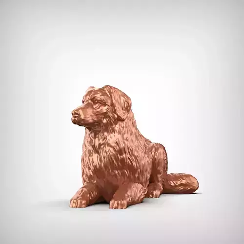 Bernese Mountain Dog 3D Print Model Pose 09 3D print model