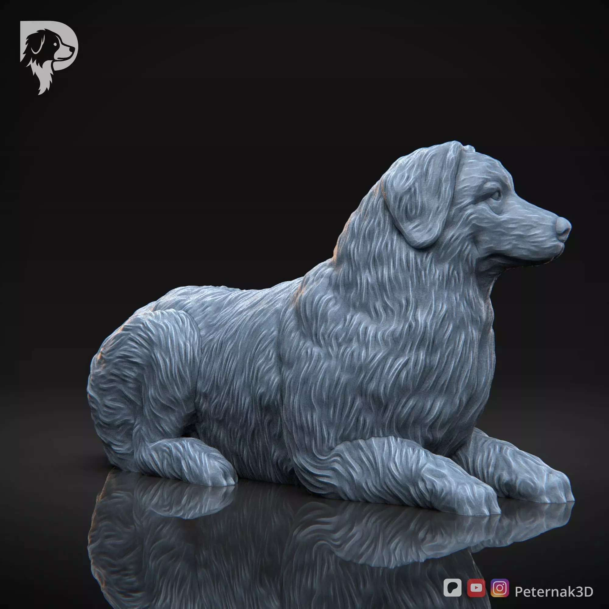 Dog 3D Print Model Bernese Mountain Dog Pose 08 Ready STL 3D print model_4