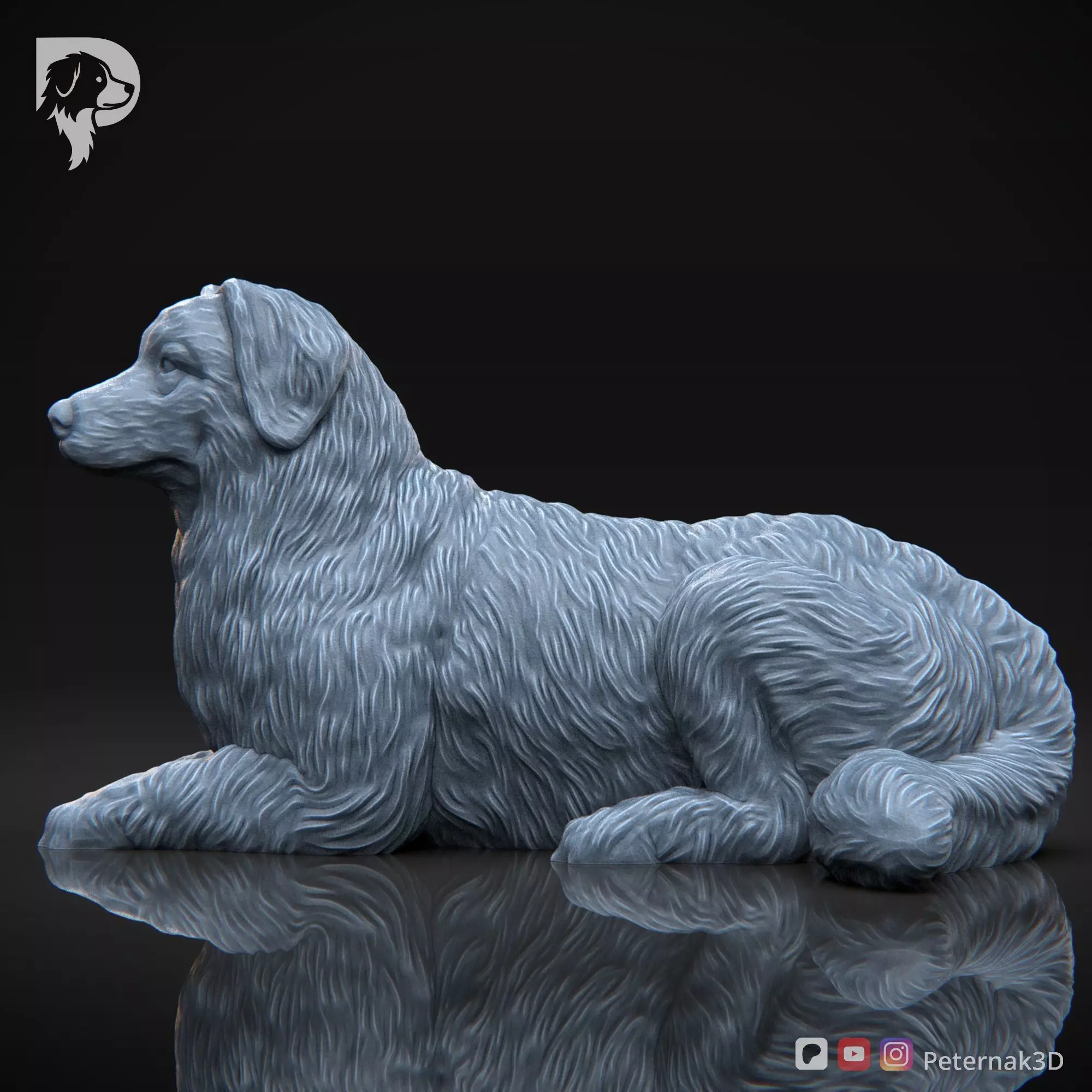 Dog 3D Print Model Bernese Mountain Dog Pose 08 Ready STL 3D print model_10