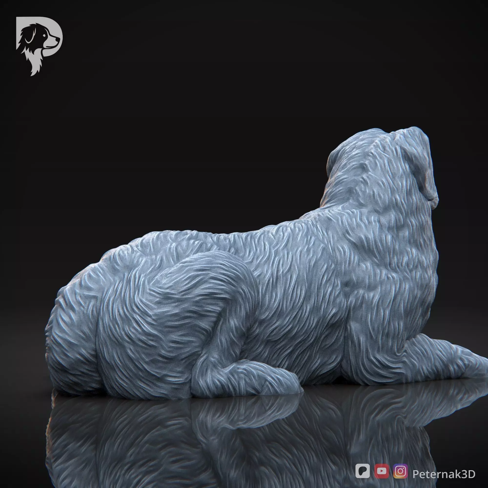 Dog 3D Print Model Bernese Mountain Dog Pose 08 Ready STL 3D print model_6