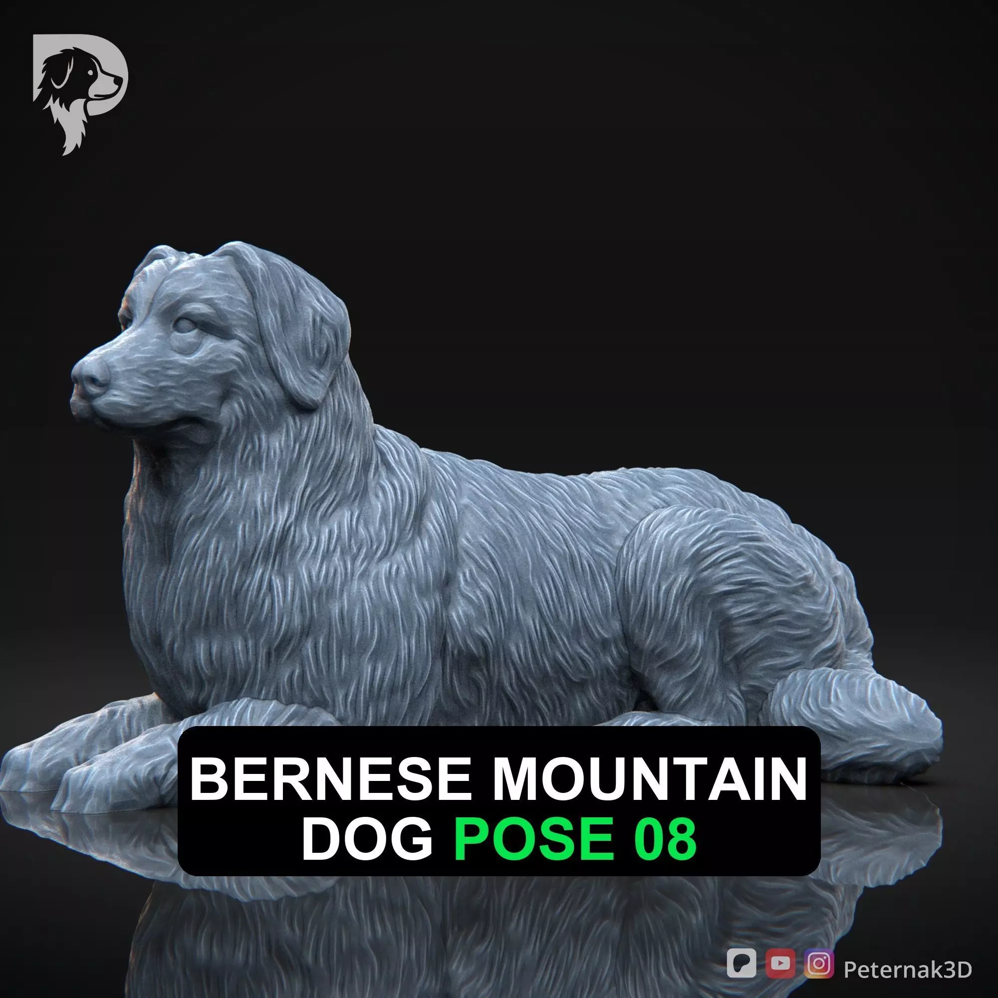 Dog 3D Print Model Bernese Mountain Dog Pose 08 Ready STL 3D print model_0