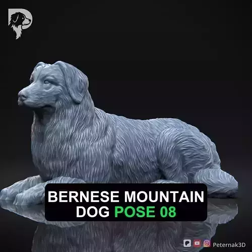 Dog 3D Print Model Bernese Mountain Dog Pose 08 Ready STL