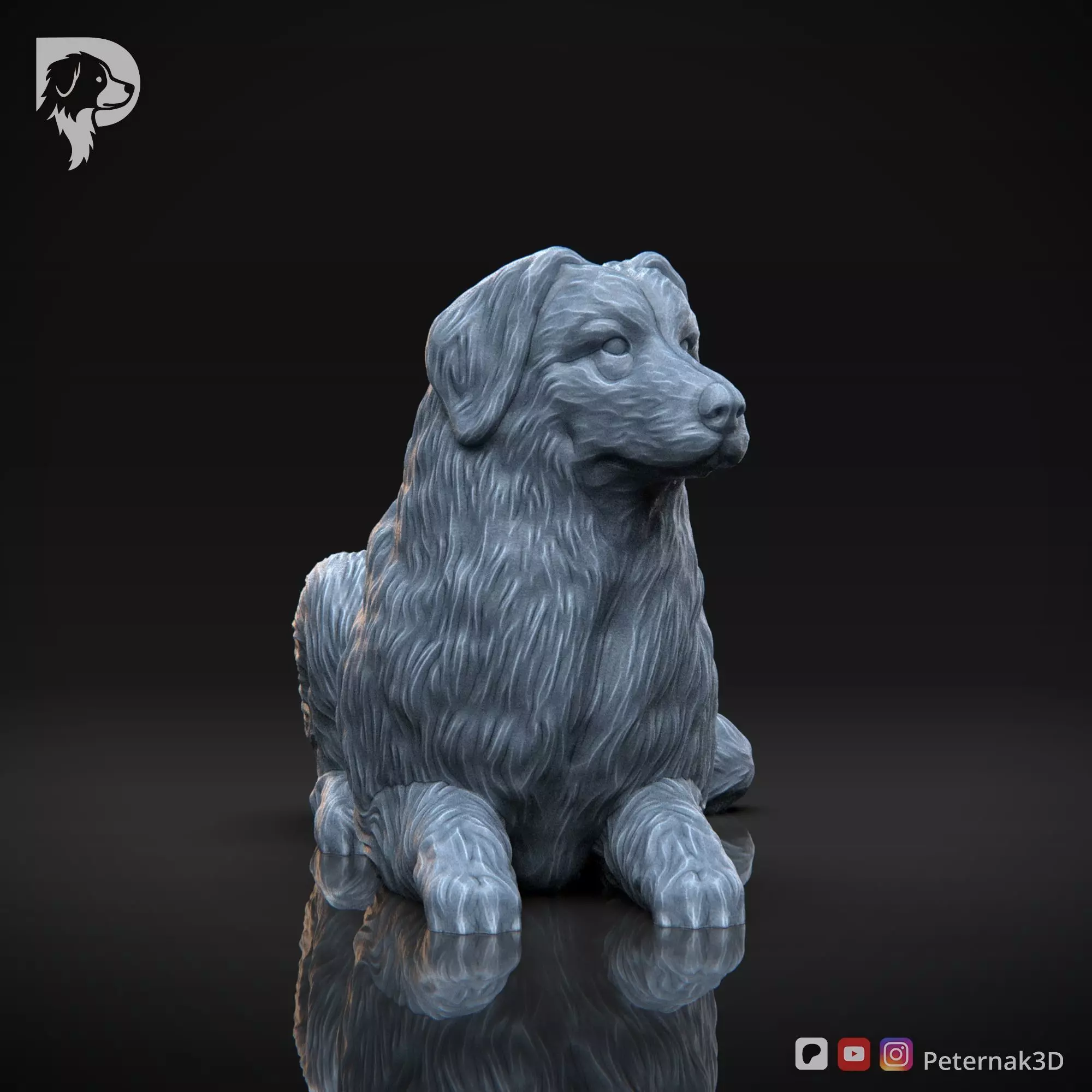 Dog 3D Print Model Bernese Mountain Dog Pose 08 Ready STL 3D print model_3