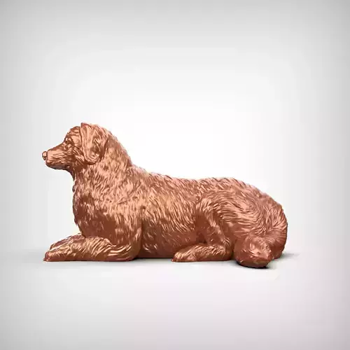 Bernese Mountain Dog 3D Print Model Pose 07 3D print model