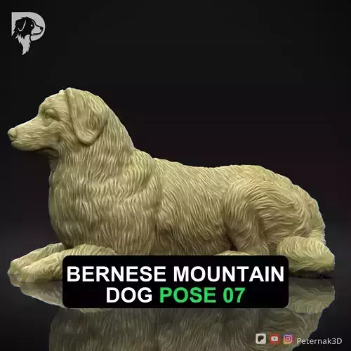 Dog 3D Print Model Bernese Mountain Dog Pose 07 Ready STL