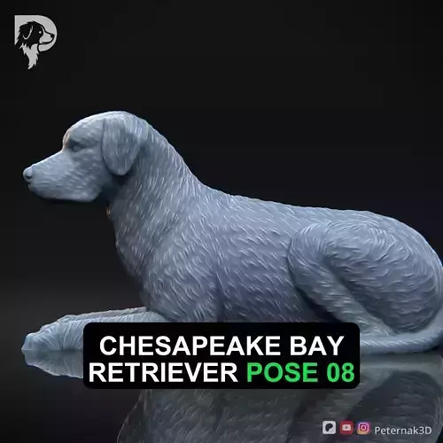 Dog 3D Print Model Chesapeake Bay Retriever Dog Pose 08 STL